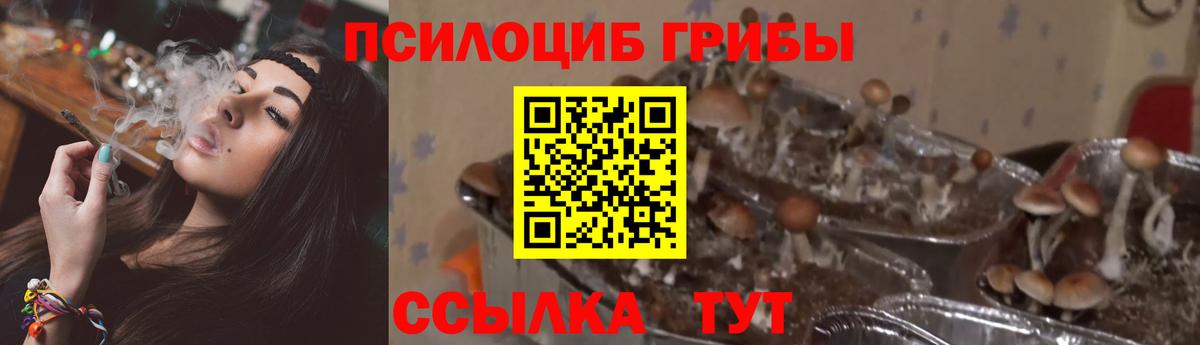 Псилоцибиновые грибы Magic Shrooms  Галлюциногенные грибы Magic Shrooms  Когалым  Вход с VPN 